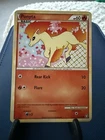 Ponyta
