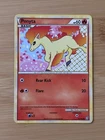 Ponyta