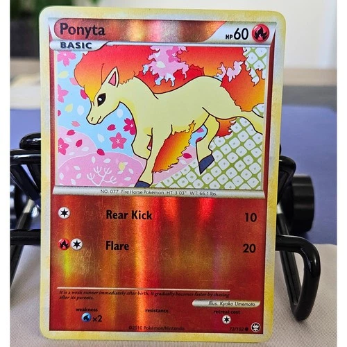 Ponyta