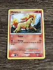 Ponyta