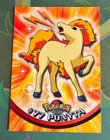 Ponyta