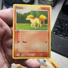 Ponyta
