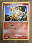 Ponyta