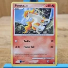 Ponyta