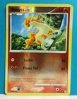 Ponyta