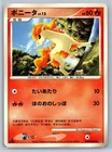 Ponyta