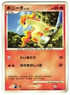Ponyta
