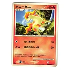 Ponyta