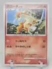 Ponyta