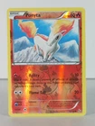Ponyta