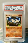 Ponyta