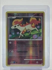 Ponyta