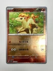 Ponyta