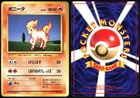 Ponyta