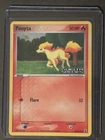 Ponyta