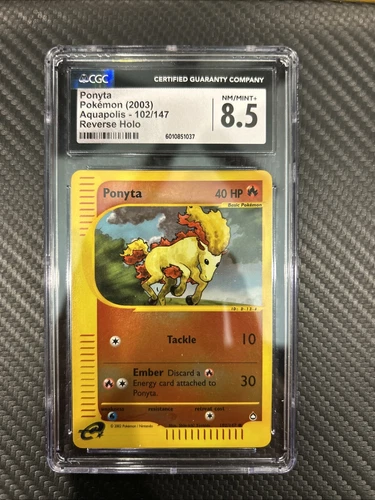 Ponyta