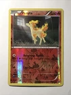 Ponyta