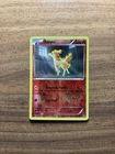 Ponyta