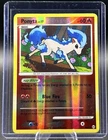 Ponyta
