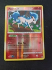 Ponyta