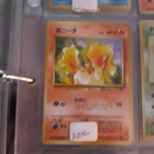 Ponyta