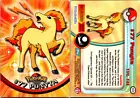 Ponyta