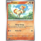 Ponyta