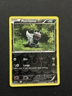 Poochyena