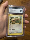 Zigzagoon