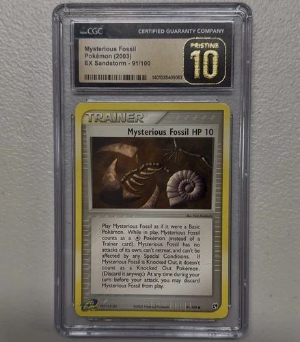 Mysterious Fossil
