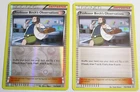 Professor Birch's Observations