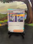 Professor's Research