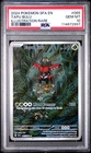 Tapu Bulu