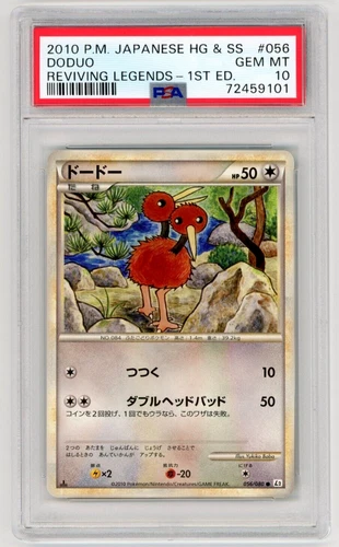 Doduo