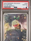 Turtwig
