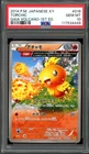 Torchic