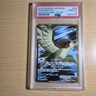 Pidgeot EX