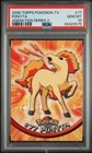 Ponyta