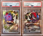 N's Zorua
