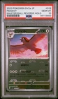 Pidgey