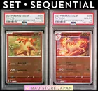Ponyta