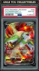 Chesnaught V