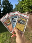 Dhelmise