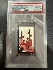 Chansey, Lickitung