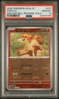 Ponyta