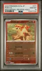 Ponyta