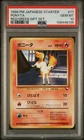Ponyta