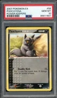 Poochyena