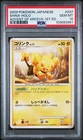 Shinx