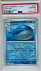 Wailord